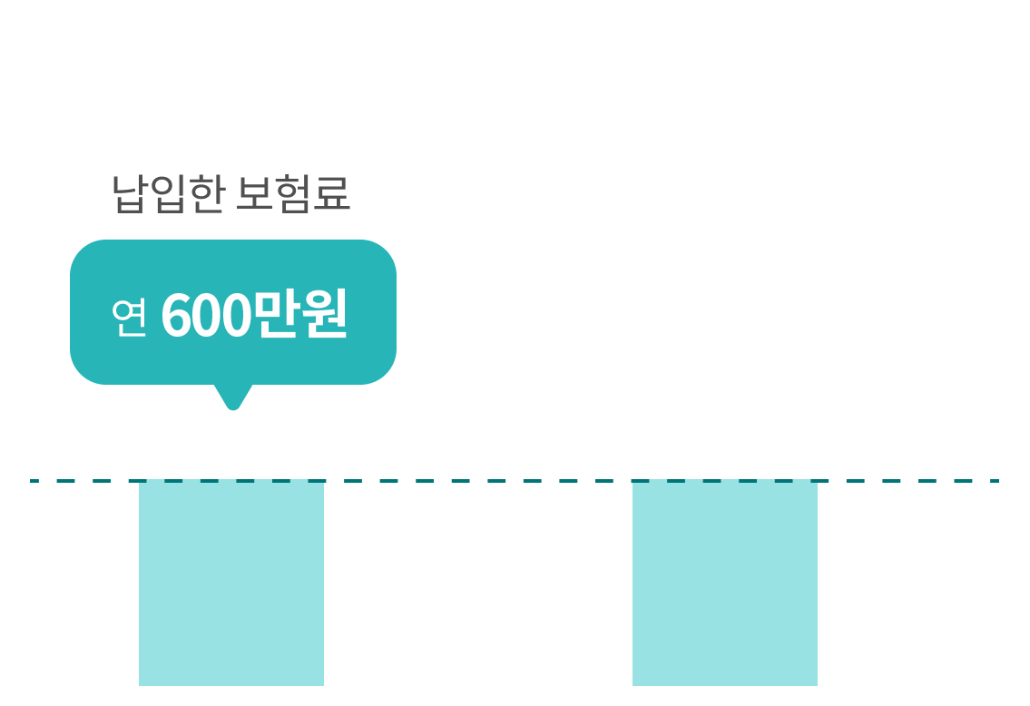 납입한 보험료 연 408만원
